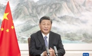 习近平在第五届中国国际进口博览会开幕式上的致辞（全文）